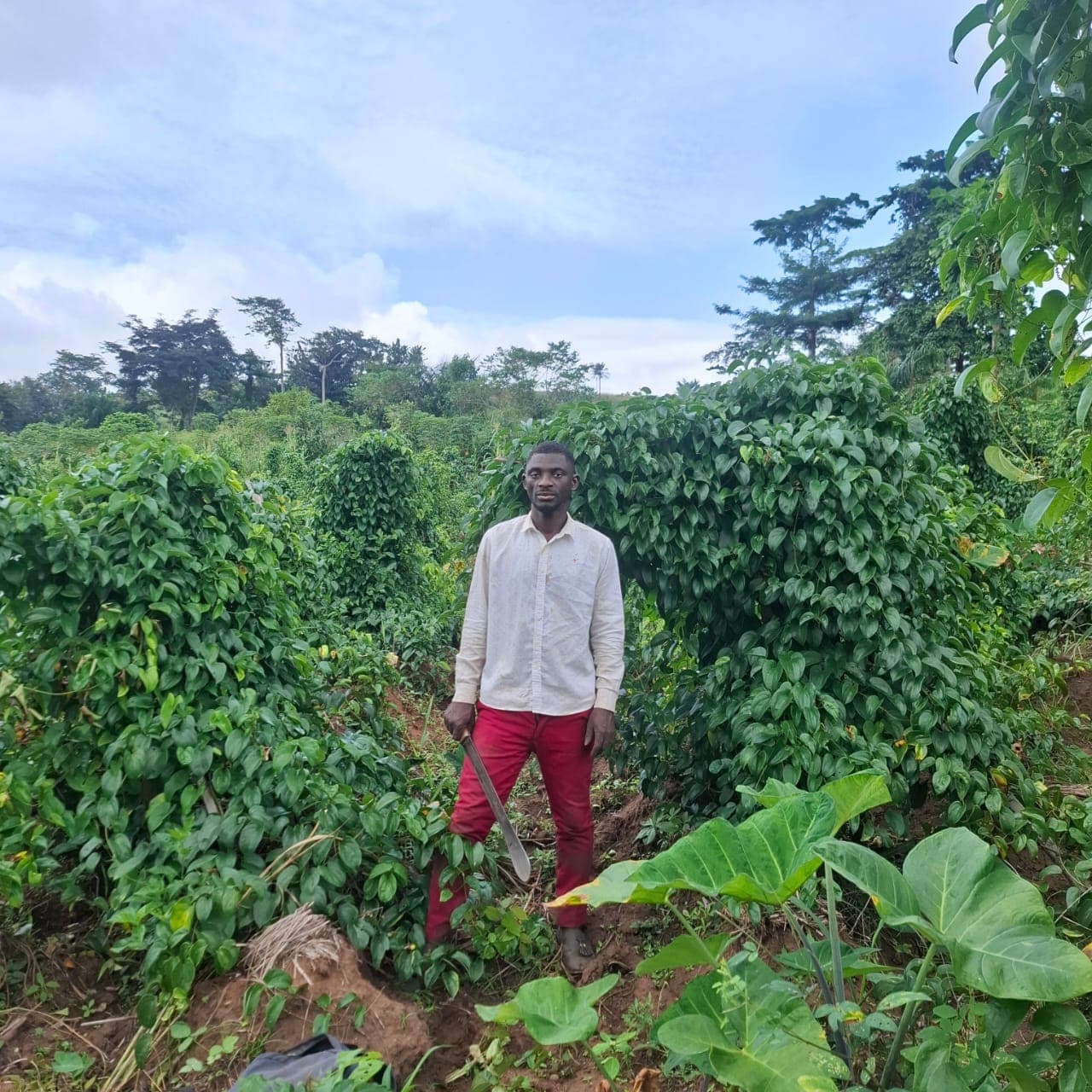 S. K. Nart Farms profile image